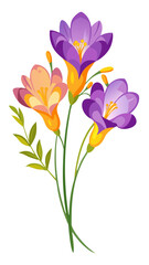 Vibrant Freesia Flower Illustration with Multicolored Petals in Pink, Yellow, and Orange - Ideal for Spring and Summer Floral Themes, Freesia Illustration, Freesia Flower vector Illustration