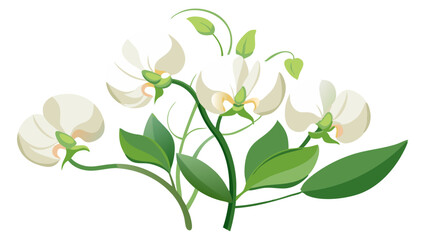 Elegant Sweet Pea Flower Illustration - Soft Pink and Red Petals with Lush Green Leaves, Ideal for Romantic and Spring Themes, Sweet Pea Flower vector Illustration, Sweet Pea vector Illustration