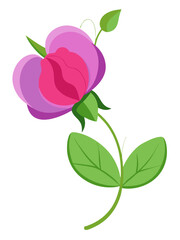 Elegant Sweet Pea Flower Illustration - Soft Pink and Red Petals with Lush Green Leaves, Ideal for Romantic and Spring Themes, Sweet Pea Flower vector Illustration, Sweet Pea vector Illustration