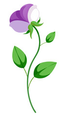 Elegant Sweet Pea Flower Illustration - Soft Pink and Red Petals with Lush Green Leaves, Ideal for Romantic and Spring Themes, Sweet Pea Flower vector Illustration, Sweet Pea vector Illustration