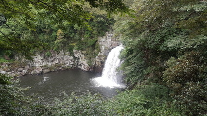 Fototapeta premium 제주폭포