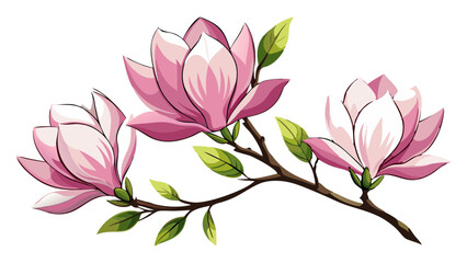 Elegant Magnolia Flower Illustration - Soft Pink Petals with a Touch of White, Ideal for Spring Themes and Botanical Art, Magnolia Flower Vector,  Magnolia Vector Illustration


