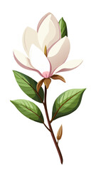 Elegant Magnolia Flower Illustration - Soft Pink Petals with a Touch of White, Ideal for Spring Themes and Botanical Art, Magnolia Flower Vector,  Magnolia Vector Illustration


