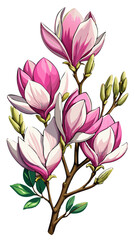 Fototapeta premium Elegant Magnolia Flower Illustration - Soft Pink Petals with a Touch of White, Ideal for Spring Themes and Botanical Art, Magnolia Flower Vector, Magnolia Vector Illustration