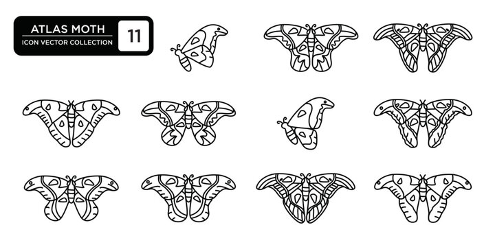Atlas moth icon collection, editable and resizable vector icon templates.
