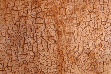 Vintage Green Wooden Fence with Cracked Paint Texture