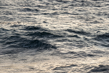 Abstract Seascape Waves Creating Ephemeral Shapes