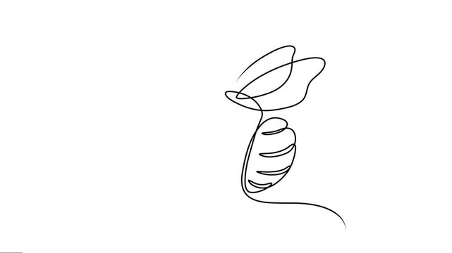 Animated continuous single-line drawing of the bee. Bee fly animation Linear motion graphics. 
