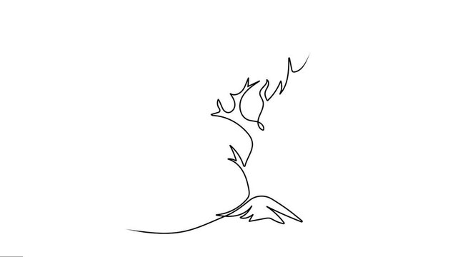 Tree animated continuous single-line drawing. Dead tree wood outline motion graphics. 