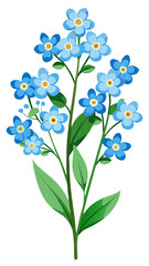 Charming Forget-Me-Not Flower Illustration - Delicate Blue Blooms with Yellow Centers, Perfect for Spring and Botanical Art, Forget-Me-Not Vector Illustration, Forget-Me-Not Flower Vector