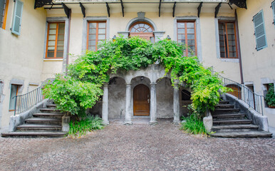 Fototapeta premium Wisteria in Annecy