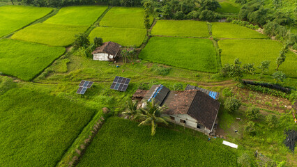 Beautiful Aerial view of Village house with Solar Panel and Agriculture Field.  