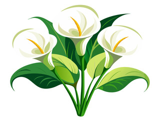 Elegant Calla Lily Vector Illustration - Sleek White Flower with Vibrant Yellow Spadix and Lush Green Leaves, Perfect for Weddings and Decor, Calla Lily Illustration