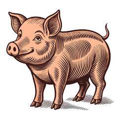 Fototapeta premium Hand-drawn Retro Pig Illustration with Vintage Farm Animal Theme 