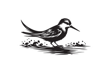 Tailor bird vector art and illustration