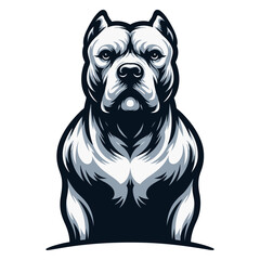 Pitbull Dog Vectors & Illustrations.