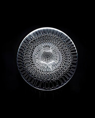 Microscopic View of Diatom with Detailed Shell, Minimalist Design on Black