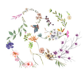 watercolor painting of leaves and flower, on white background