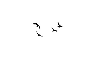 Flying Birds Vector Illustration Collection. 