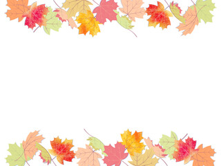 紅葉したかえでのフレームイラスト