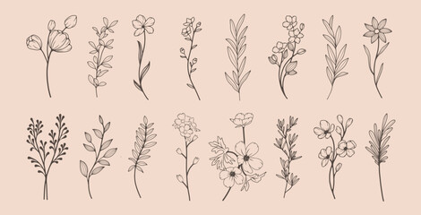 Collection of simple delicate hand drawn flowers, leaves and branches in line art style. Trendy vector botanical sketch illustration on beige background