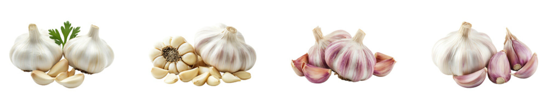 Set, collection of arlic bulb and cloves isolated on transparent background.