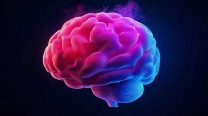 A brain with pink and blue colors. The brain is shown in a 3D form. The colors of the brain are bright and vivid
