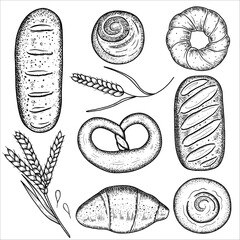 Set with pastries. Vector illustration