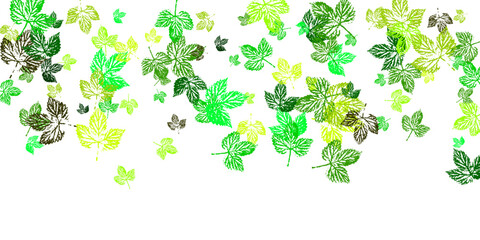 Autumn falling leaves isolated on white background.  Flying green leaves. 