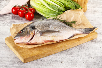 Raw dorada fish served rosemary