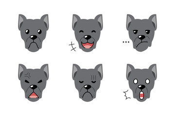 Set of character cane corso dog faces showing different emotions for design.