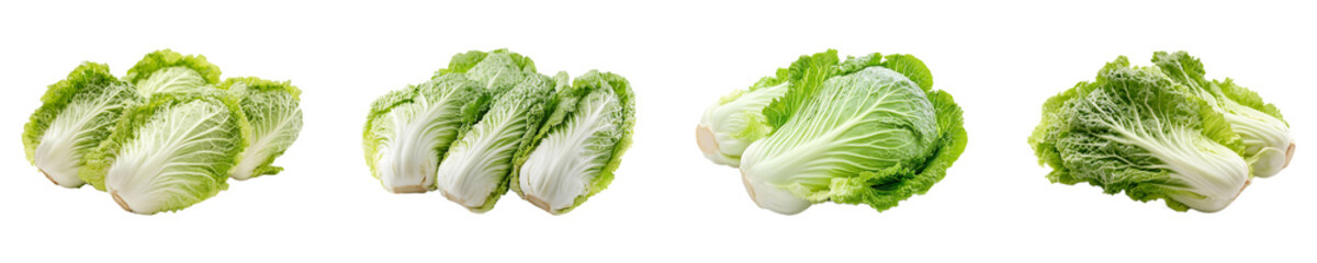 Set, collection of Fresh Chinese cabbage isolated on transparent background.