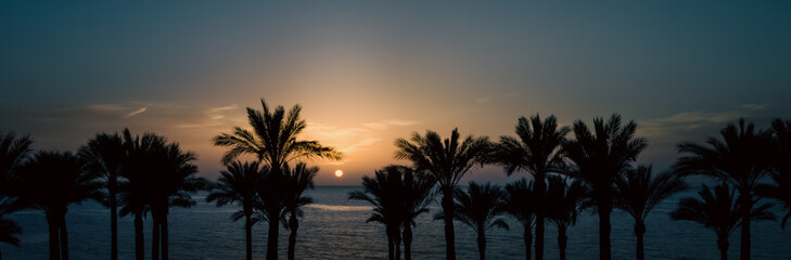 panoramic view of the setting sun among the palm trees in the Red Sea in Egypt