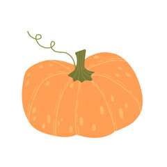 Harvest-ready pumpkin with vine details. A classic fall symbol for gardening, organic farming, Halloween, and autumn decor. Perfect for seasonal content.