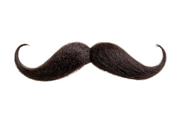 Fake curly black handlebar mustache isolated on white background
