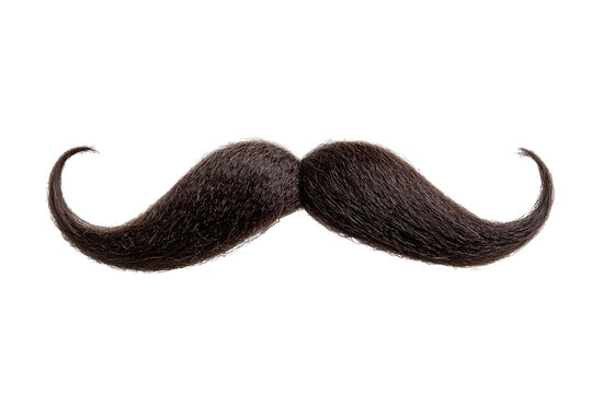 Fake curly black handlebar mustache isolated on white background