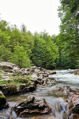 Cascada R&iacute;o Pipo flows through a rocky landscape surrounded by lush greenery, creating a serene and vibrant natural scene.  Tierra del Fuego, Ushuaia, Argentina, National Park, Patagonia.