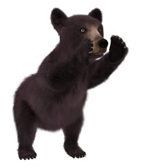 Black bear cub on white background. 3D illustration.