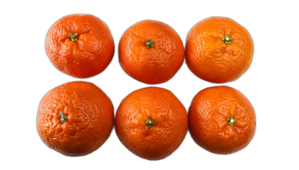  Clementine dall'alto- Sei clementine disposte su uno sfondo bianco, visti dall'alto, co_1(83)