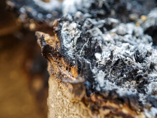 Close up of burnt wood texture. Macro
