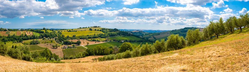 Vigneti con vista su un borgo collinare
