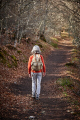Fototapeta premium Woman walking in the woods. Healthy lifestyle. Natural environment