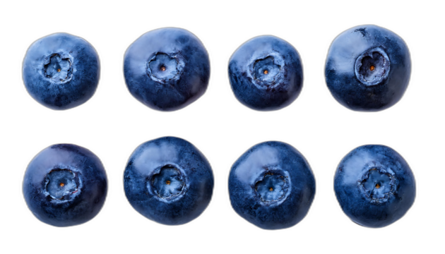  Mirtilli freschi dall'alto- Sei mirtilli freschi disposti su uno sfondo bianco, ripresi_1(240)