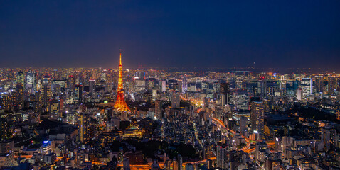Fototapeta premium panoramic, tourist attractions in the city park of Tokyo, Asia business concept image, panoramic modern cityscape building in Japan. 