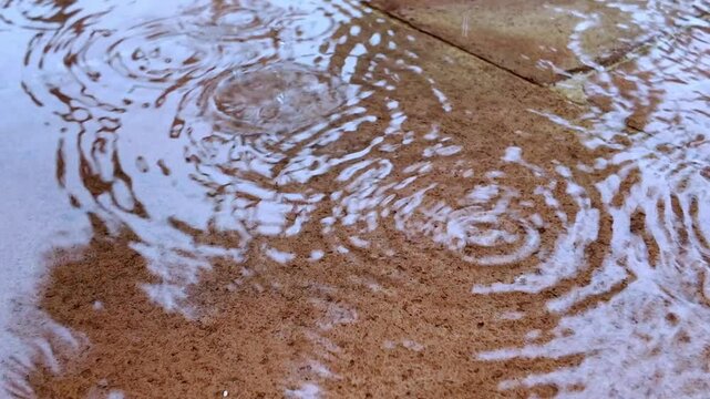 Lluvia cayendo sobre baldosas de barro con reflejo de &aacute;rboles