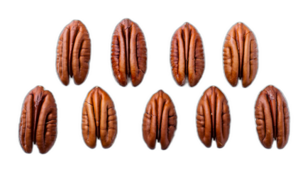  Noci pecan dall'alto- Sei noci pecan disposte su uno sfondo bianco, viste dall'alto, con il_1(272)