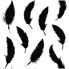 Seamless Fluffy Feathers and Plume Quills Silhouettes.