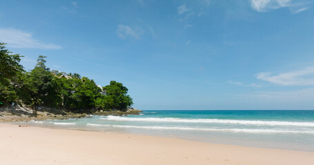 beach with palm trees