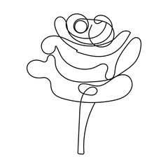 continuous beautiful rose flowers sngle line art drawing vector