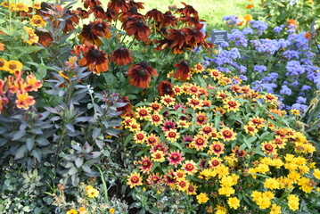 Plate-bande fleurie en été au jardin
